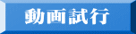 動画試行 
